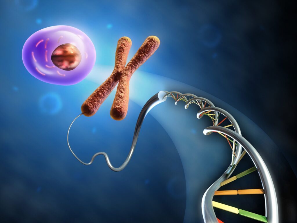 DNA-chromosome-lenstapes-med